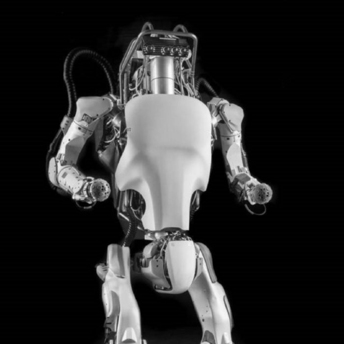 Atlas